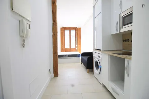 Wohnung 29 m² in Madrid
