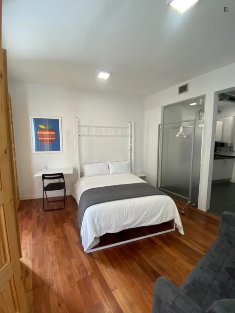 Pis de 29 m² a Madrid
