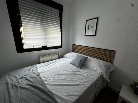 Habitació de lloguer, Madrid (2/10)