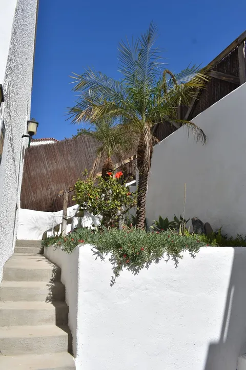 Wohnung 250 m² in Santiago del Teide