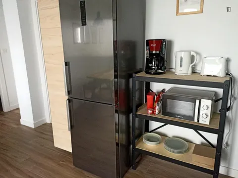Habitació de lloguer, Bilbao