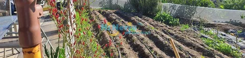 Casa de 400 m² a Torrox