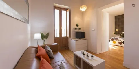 Appartamento 29 m² a Madrid