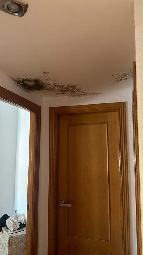 Wohnung 100 m² in Pozuelo de Alarcón