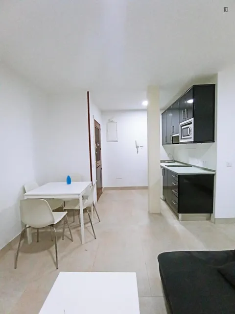 Pis de 33 m² a Madrid