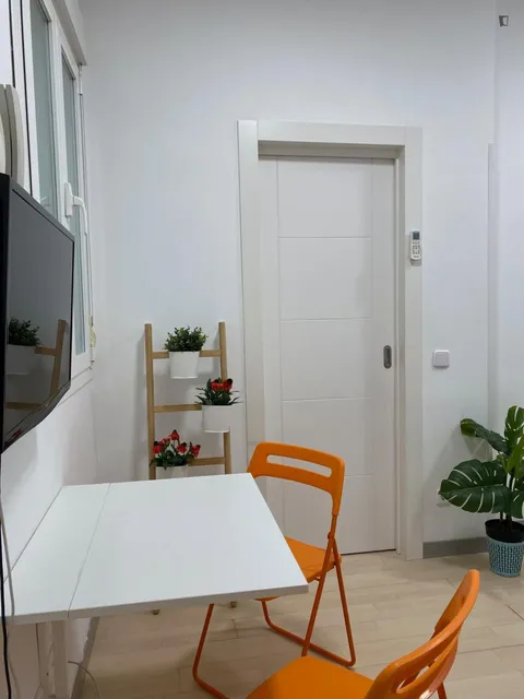Pis de 29 m² a Madrid