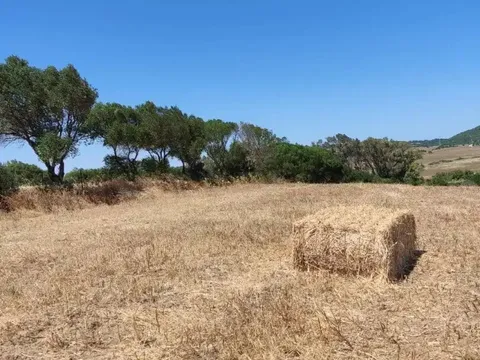 Pis de 200 m² a Medina Sidonia