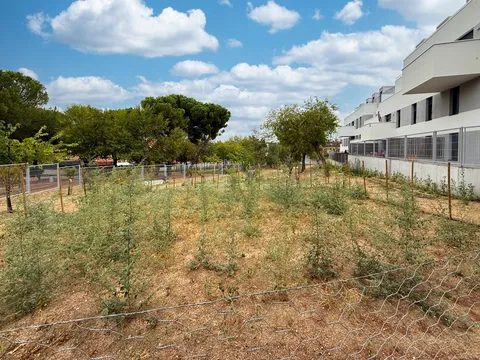 Pis de 128 m² a Cobeña