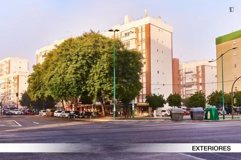 Stanza in affitto, Siviglia