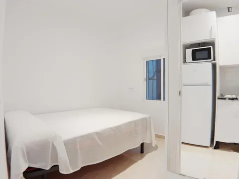 Pis de 33 m² a Madrid (4/15)