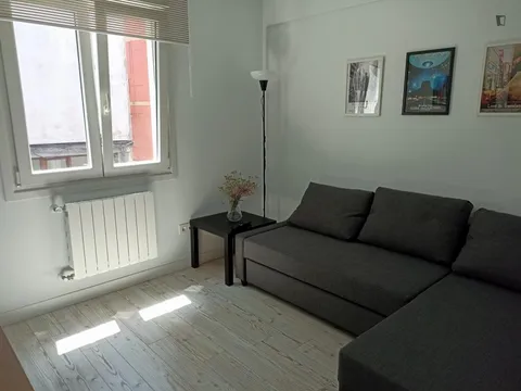 Habitació de lloguer, Bilbao
