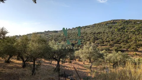 Casa de 199 m² a Cáceres