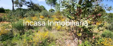 Appartamento 30 m² a Valverde del Camino