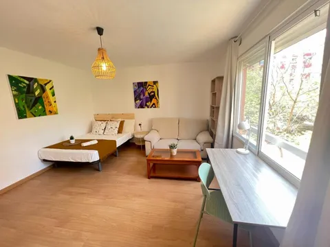 Stanza in affitto, Valencia