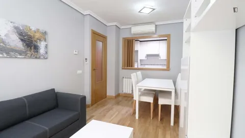 Flat 30 m² in Madrid