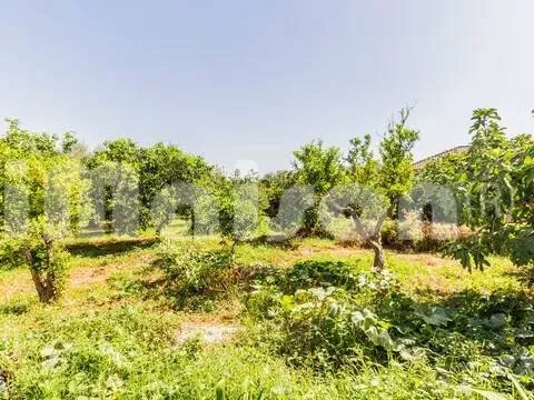 Casa de 90 m² a Coria del Río