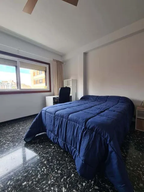 Stanza in affitto, Valencia