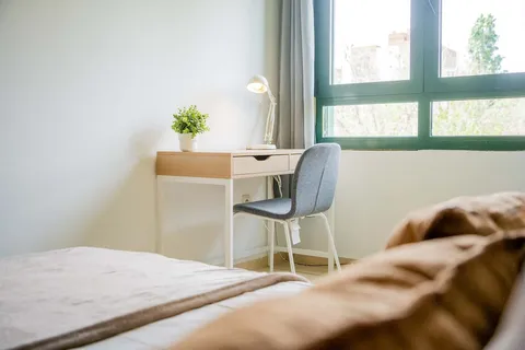 Stanza in affitto, Valencia