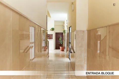 Habitació de lloguer, Sevilla