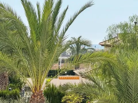 Pis de 83 m² a Elx