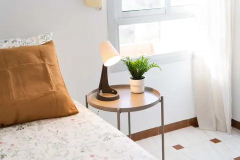 Habitació de lloguer, València (2/21)