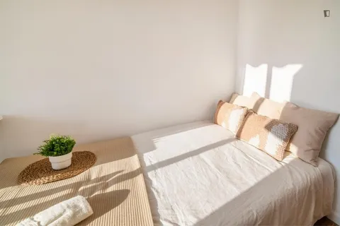 Stanza in affitto, Valencia