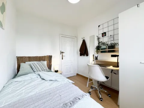 Habitació de lloguer, Madrid