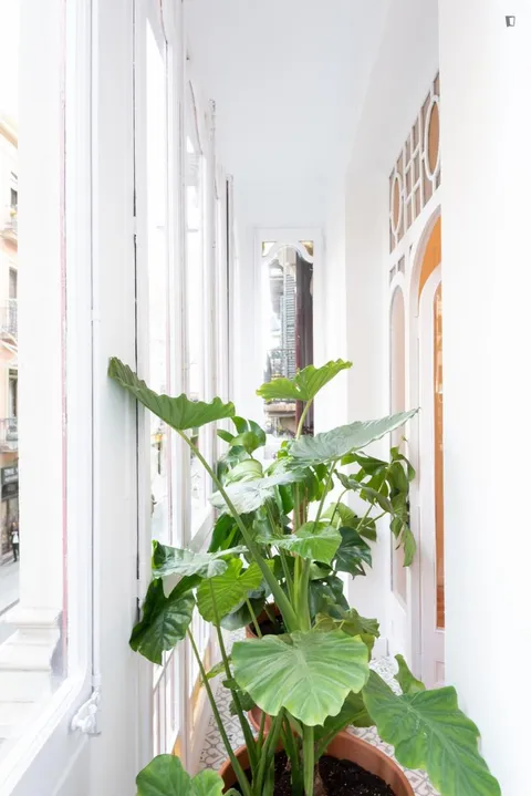 Habitació de lloguer, Barcelona