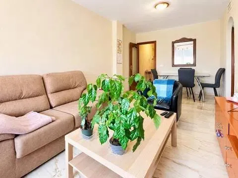 Habitació de lloguer, Màlaga