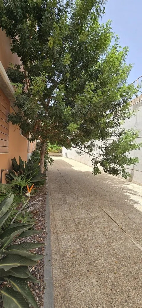 Wohnung 75 m² in San Miguel de Abona