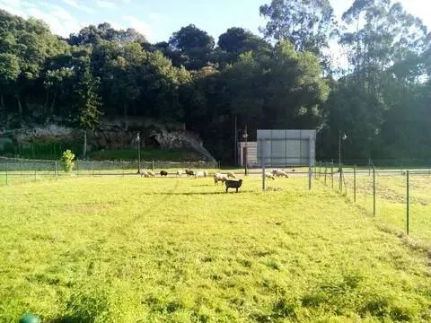 Pis de 60 m² a Llanes