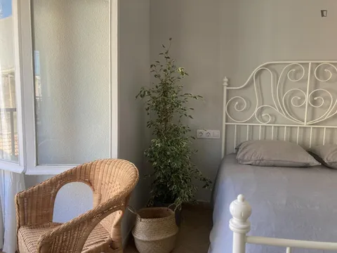 Habitació de lloguer, Alacant