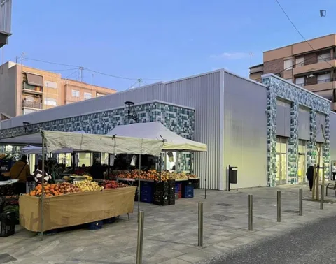 Stanza in affitto, Alacant / Alicante