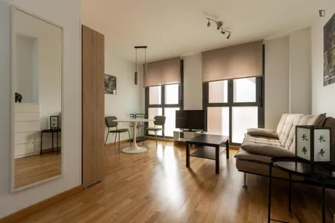 Appartamento 35 m² a Madrid