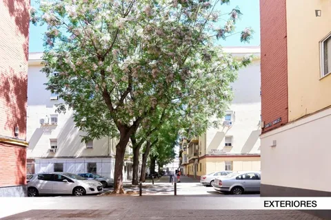 Habitació de lloguer, Sevilla