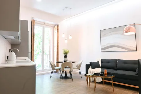 Pis de 36 m² a Madrid