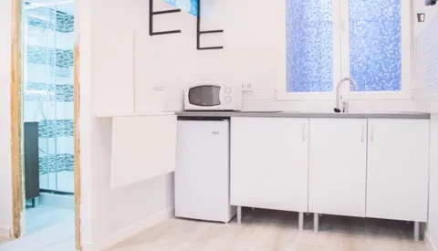 Pis de 29 m² a Madrid