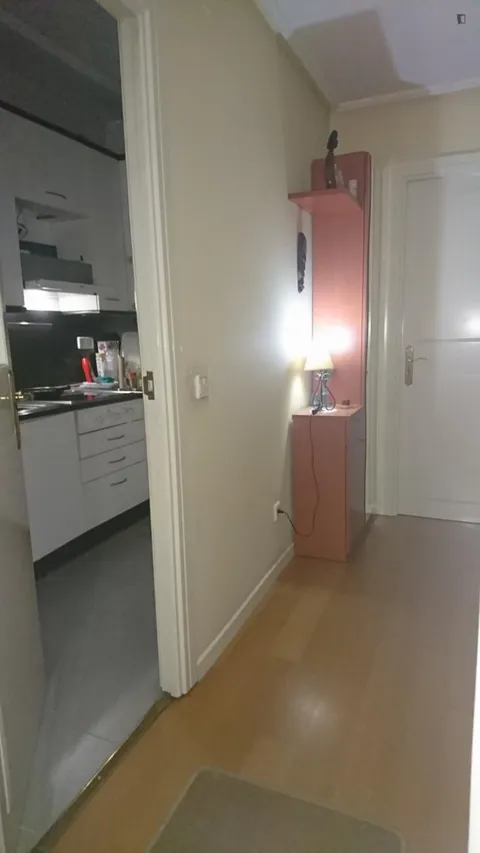 Habitació de lloguer, Madrid