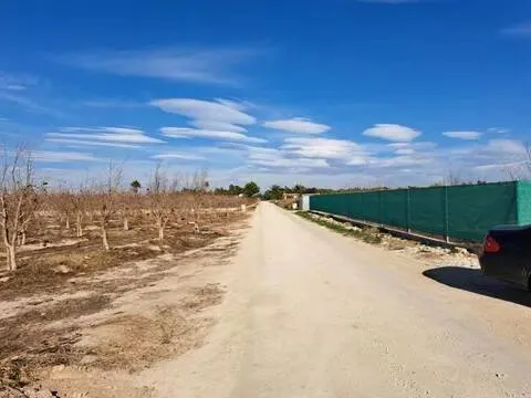 Haus 95 m² in Elx / Elche