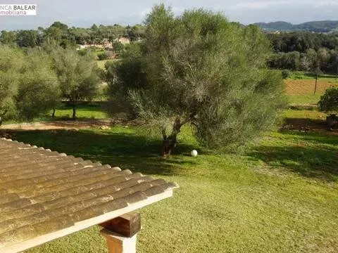 Pis de 300 m² a Costitx