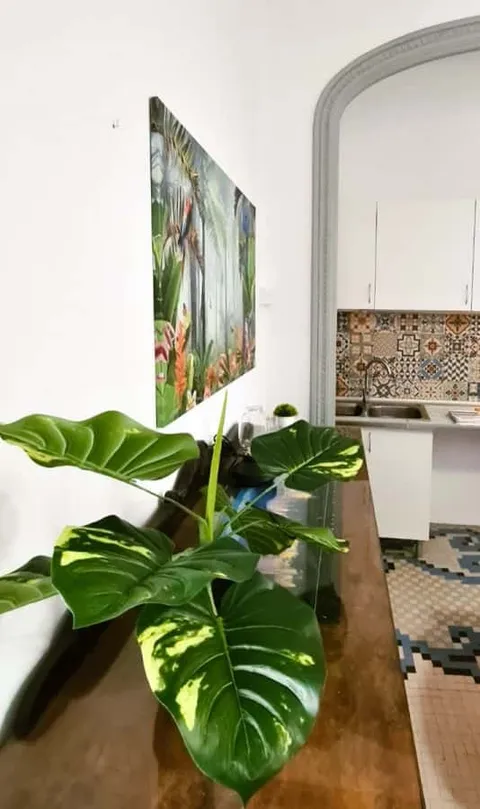 Chambre à louer, Valence