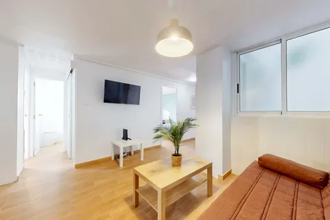 Habitació de lloguer, Elx