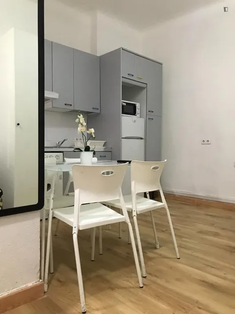 Pis de 21 m² a Madrid