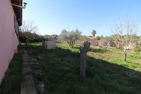 Habitació de lloguer, Algaida