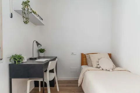 Habitación en alquiler, Madrid (4/20)