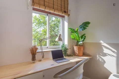 Habitació de lloguer, Barcelona