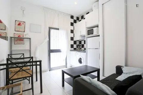 Pis de 30 m² a Madrid
