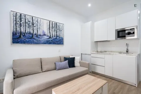 Appartamento 41 m² a Madrid