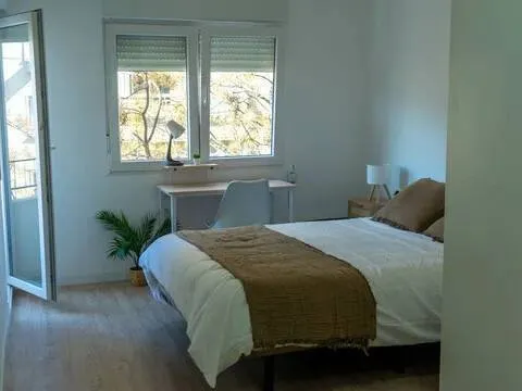Room for rent, Zaragoza