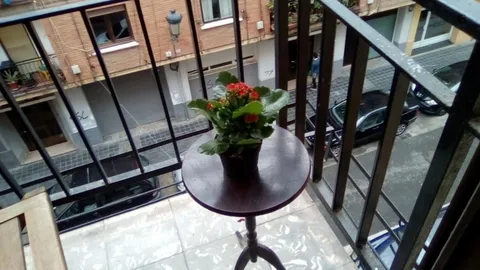 Habitació de lloguer, València (2/20)